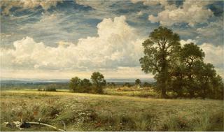 A Summer's Day