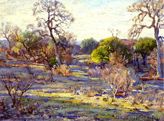 Late Afternoon, Alamo Heights, San Antonio, Texas