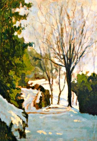 Burcina d'inverno