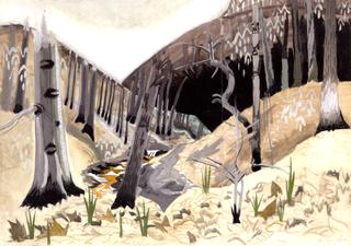 Early Spring