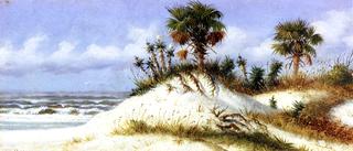 Florida Sand Dunes with Two Palm Trees