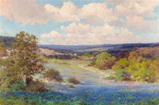 Texas Bluebonnets, Hill Country