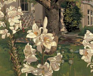Madonna Lilies, Cookham, Berkshire
