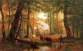 Crossing the Stream