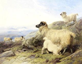 Sheep on a Mountainside
