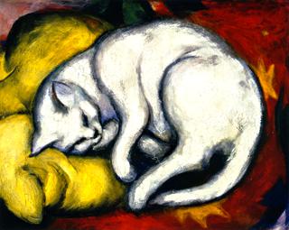 The White Cat