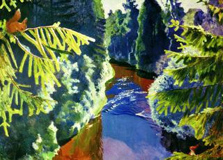 The Forest Stream