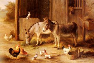 Farmyard Friends