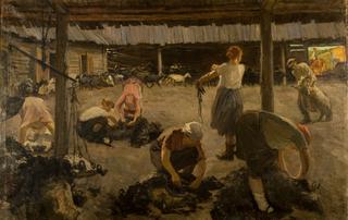 Sheep Shearing