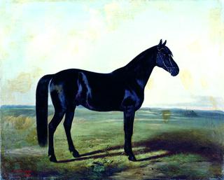 The Black Horse