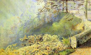 Autumn Sunlight