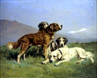 Hounds at Rest