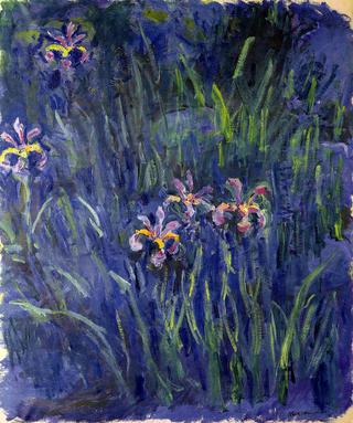 Irises