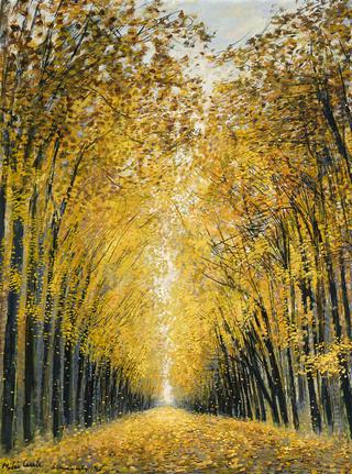 Saint Germain en Laye