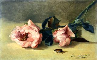 Peonies and June Bug