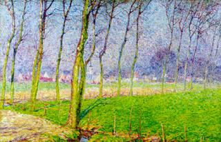Poplars in Maartezon