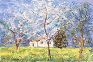 Landscape with orange trees