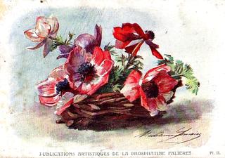 Anemones