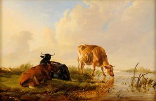 Cattle Grazing on the Riverbank