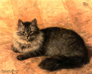 peter the cat