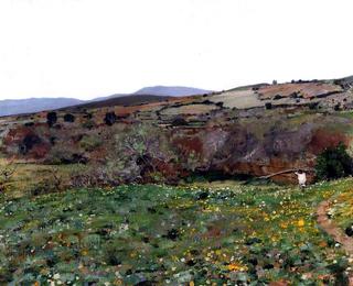 Moroccan Landscape