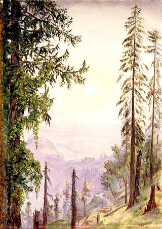Sunrise among the Pines near Fagoo in the Himalayas