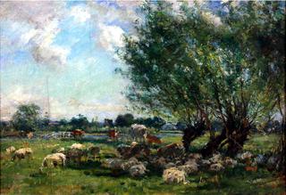 Sheep and Cattle Resting in the Shade