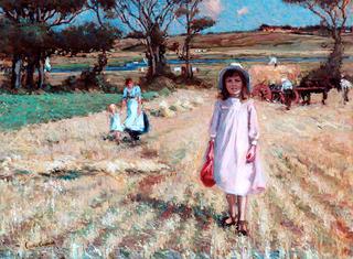 Across the Cornfield