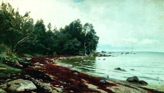 An Inlet