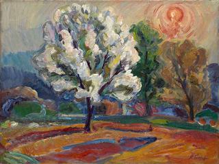 Landscape at Sunset