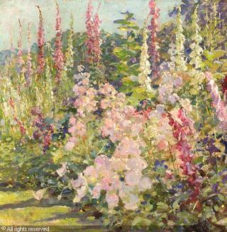 Hollyhocks