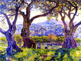 Olive Trees near Nice