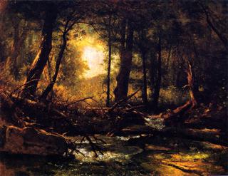 Woodland Glade
