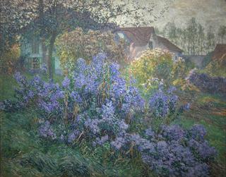 The Asters