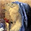 Still life with S. Cecilia