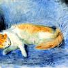 睡猫