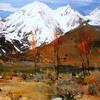 山