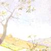 四季：夏天
