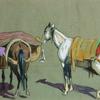 两匹摩洛哥马（双马）