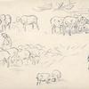 绵羊和牧羊人的习作