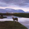 Thingvellir