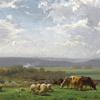 Paturage en Auvergnee