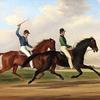 1849年7月18日，费城亨廷顿公园球场，麦克和扎卡里·泰勒的比赛