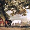伊顿大厅格罗夫纳勋爵的母马和马驹