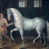 A Spanish Warhorse Captured by Lodewijk Gunther van Nassau from Archduke Albert of Austria in the Battle of Nieuwpoort and Presented to Prince Maurits