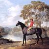 威尔德曼先生的一匹名叫“尤斯顿”的马的肖像