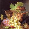 猫是葡萄桶