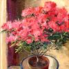 杜鹃花