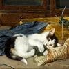小猫在蓝色毯子上玩毛球
