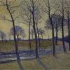 Lane of Trees, Kalmthout